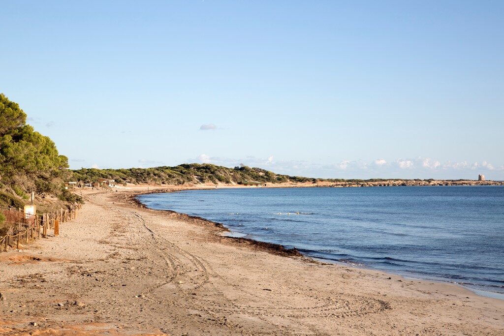 Salinas